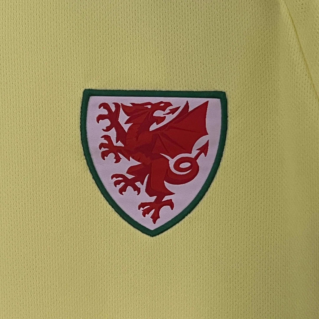 2024 Wales Away Football Shirt 1:1 Thai quality