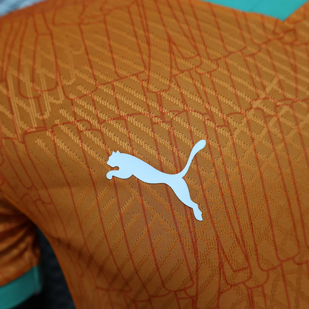 2024/2025 Player Version Côte d'Ivoire Home Football Shirt 1:1 Thai Quality