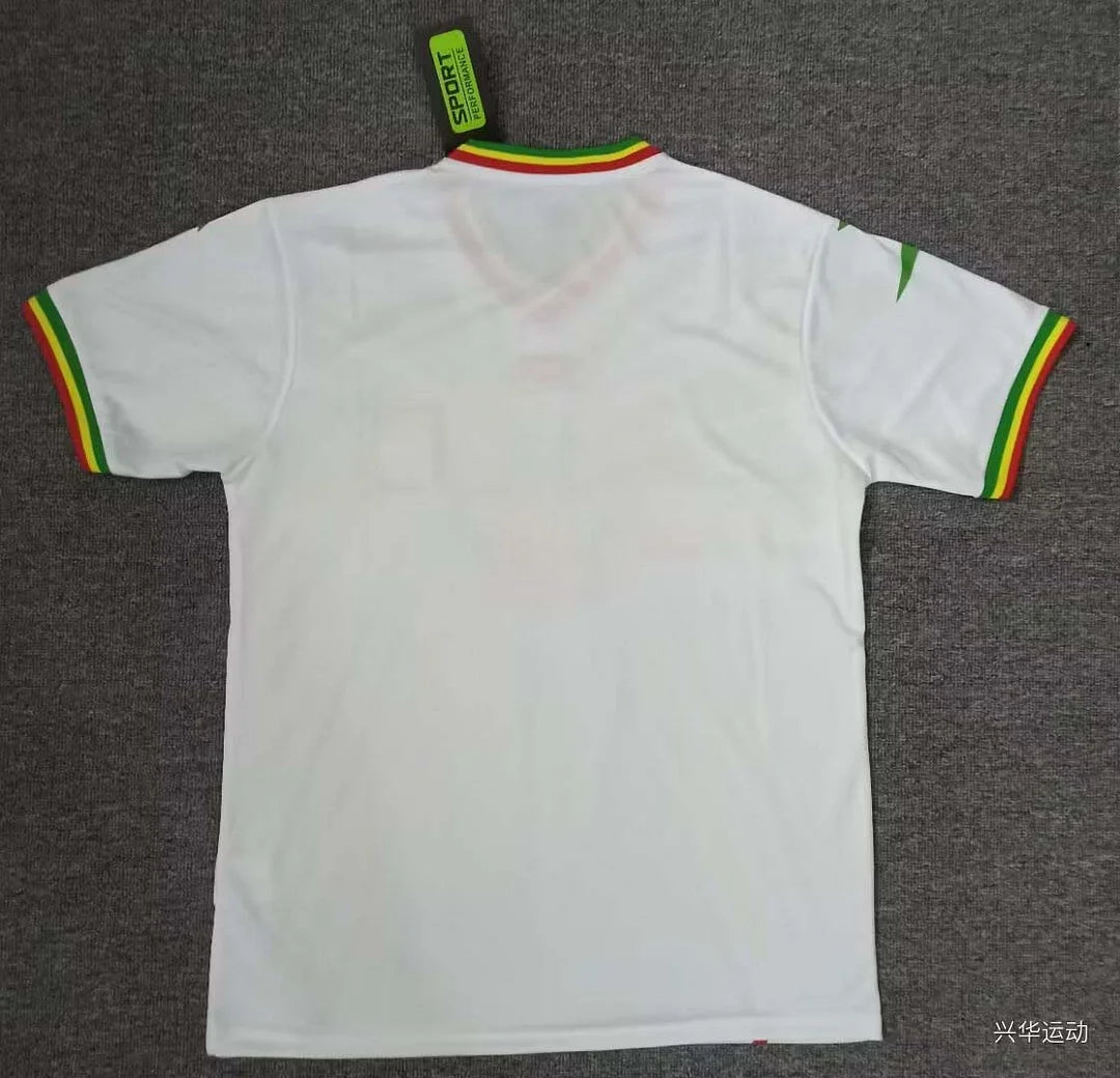 2024 Mali Africa Cup Home Football Shirt 1:1 Thai Quality